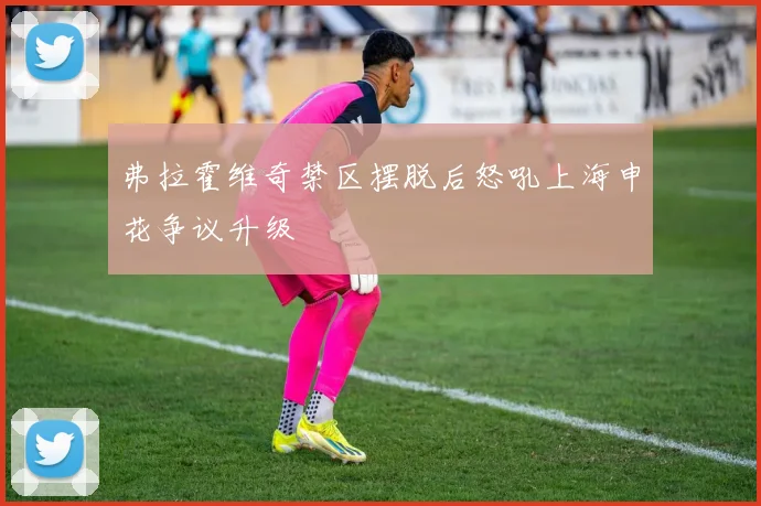 弗拉霍维奇禁区摆脱后怒吼上海申花争议升级