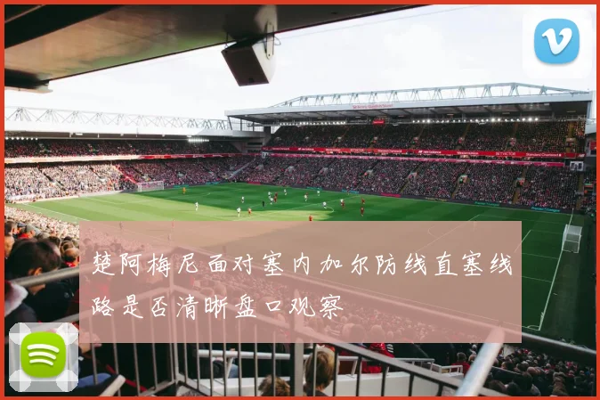楚阿梅尼面对塞内加尔防线直塞线路是否清晰盘口观察