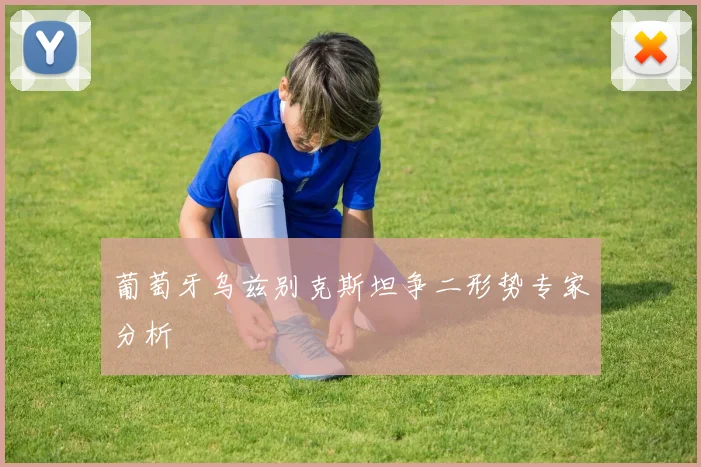 葡萄牙乌兹别克斯坦争二形势专家分析