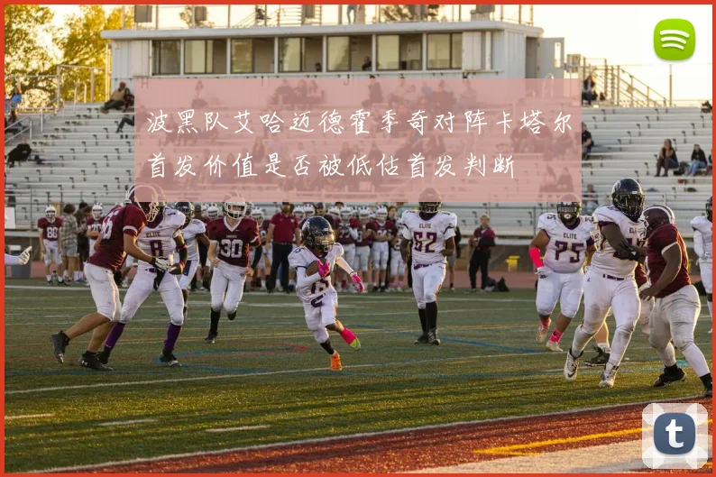波黑队艾哈迈德霍季奇对阵卡塔尔首发价值是否被低估首发判断