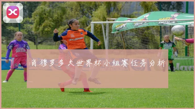 肖穆罗多夫世界杯小组赛任务分析
