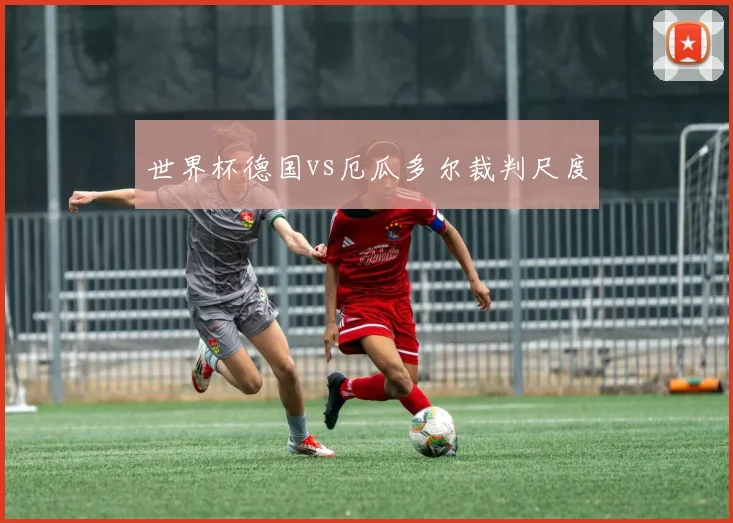 世界杯德国vs厄瓜多尔裁判尺度