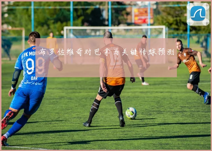 布罗佐维奇对巴拿马关键传球预测